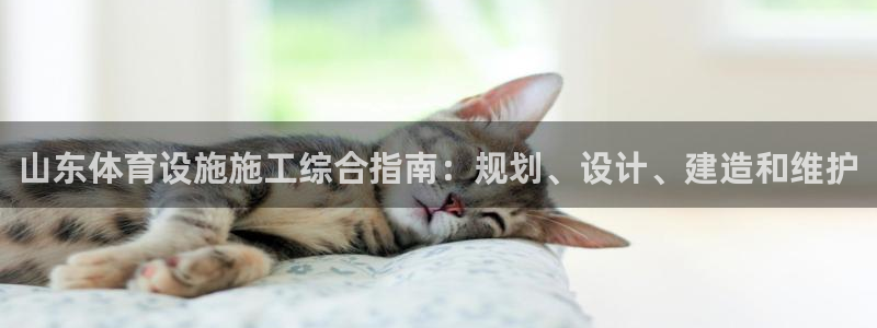 意昂体育3招商