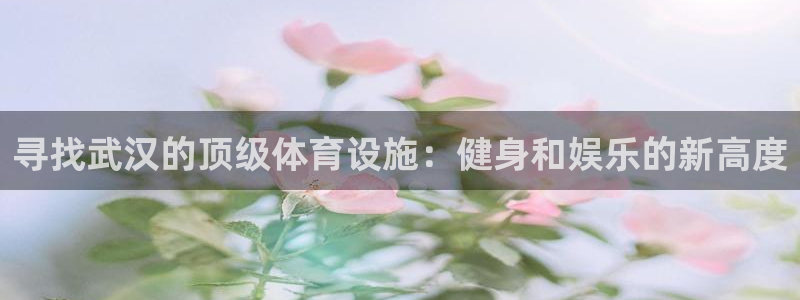 意昂3代理：寻找武汉的顶级体育设施：健身和娱乐的新高