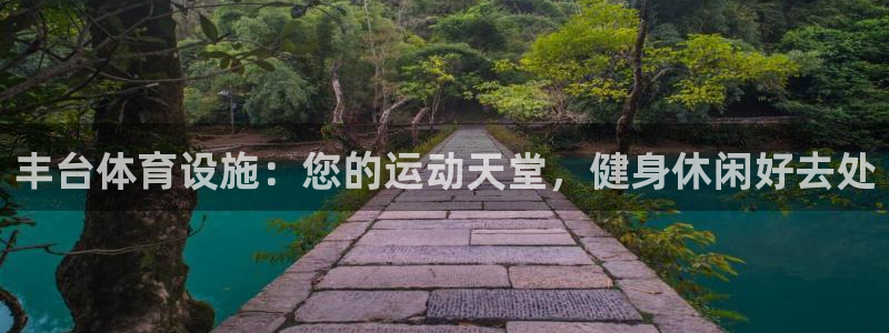 意昂体育3开户：丰台体育设施：您的运动天堂，健身休闲