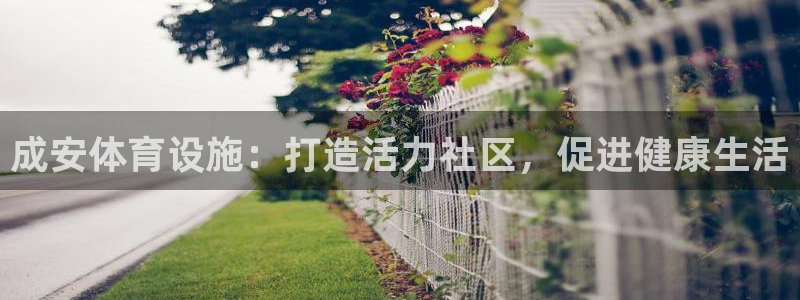 意昂体育3招商电话是多少：成安体育设施：打造活力社区