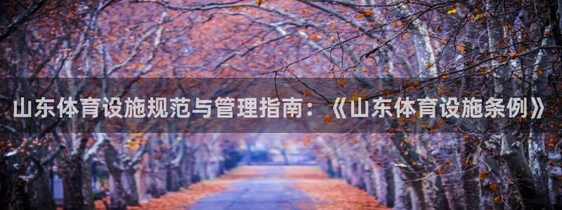 意昂3集团官网首页网址：山东体育设施规范与管理指南：