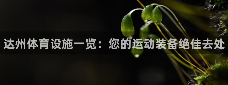意昂体育3平台假的吗是真的吗吗：达州体育设施一览：您