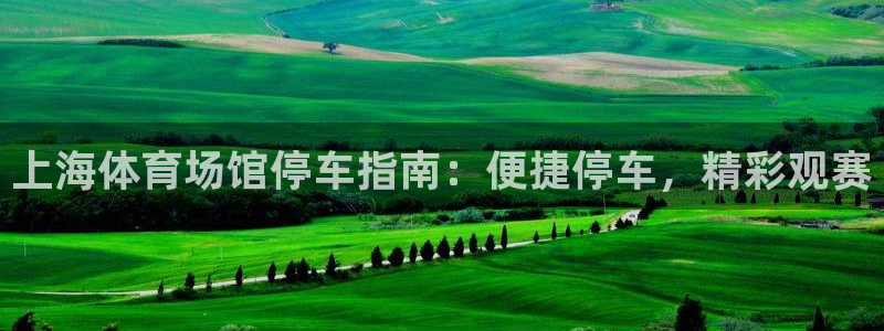 意昂3开户：上海体育场馆停车指南：便捷停车，精彩观赛