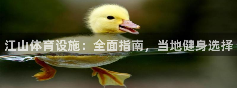 意昂体育3软件：江山体育设施：全面指南，当地健身选择