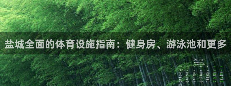 意昂3娱乐下载：盐城全面的体育设施指南：健身房、游泳