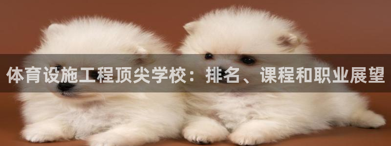 意昂3开户：体育设施工程顶尖学校：排名、课程和职业展