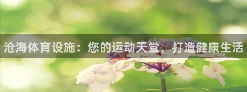 意昂体育3招商电话地址是多少：沧海体育设施：您的运动