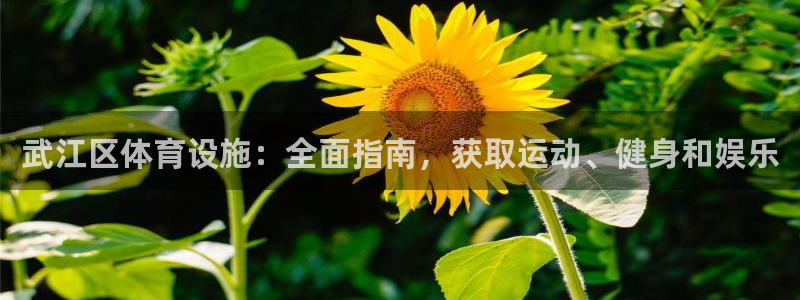 意昂3娱乐代理怎么样：武江区体育设施：全面指南，获取
