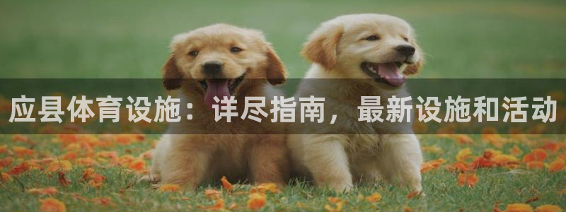 意昂集团官网：应县体育设施：详尽指南，最新设施和活动