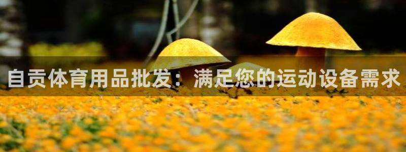 意昂体育3娱乐：自贡体育用品批发：满足您的运动设备需