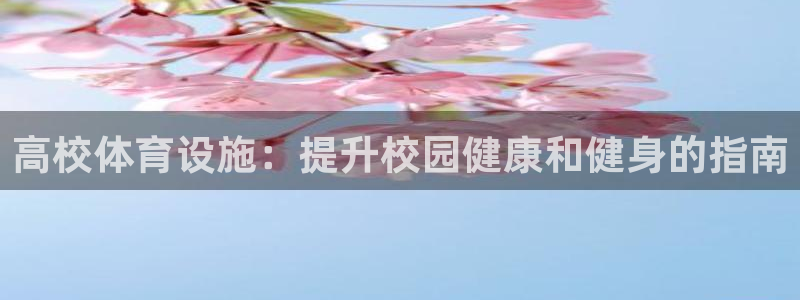 意昂3集团E.ON：高校体育设施：提升校园健康和健身