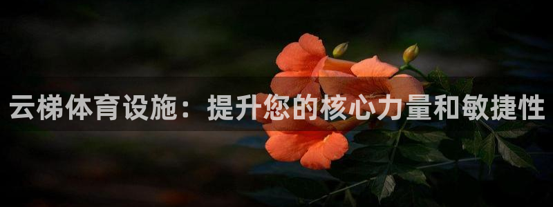 意昂3开户：云梯体育设施：提升您的核心力量和敏捷性