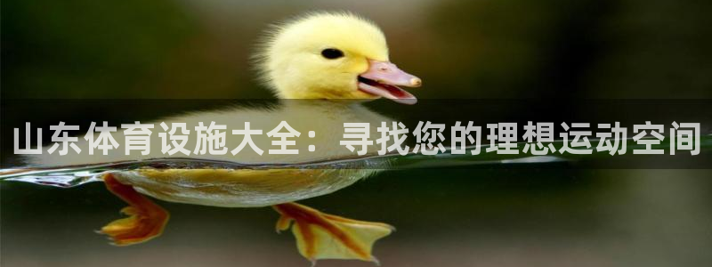 意昂3娱乐首页官网下载：山东体育设施大全：寻找您的理
