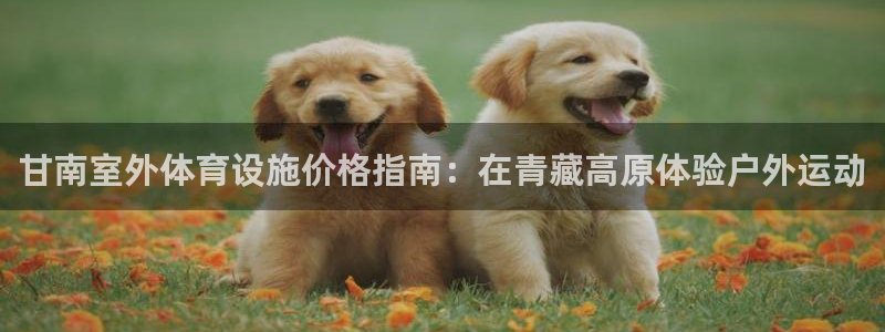 意昂体育3招商电话号码是多少号：甘南室外体育设施价格