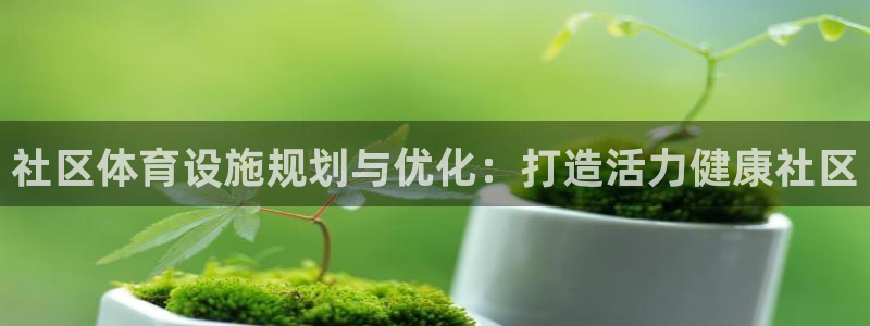 意昂3新能源：社区体育设施规划与优化：打造活力健康社