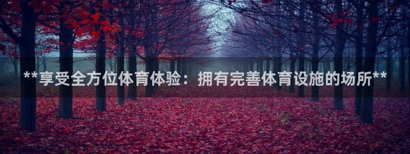 意昂3代理：**享受全方位体育体验：拥有完善体育设施