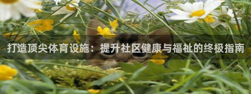 意昂3娱乐40996：打造顶尖体育设施：提升社区健康
