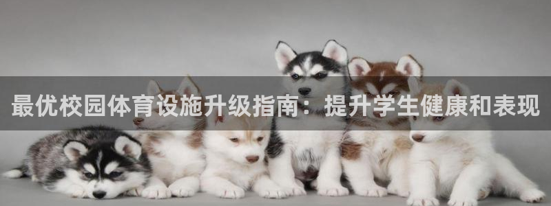 意昂体育3平台注册要钱吗安全吗：最优校园体育设施升级