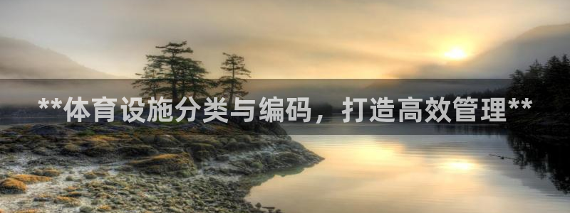 意昂3娱乐平台：**体育设施分类与编码，打造高效管理