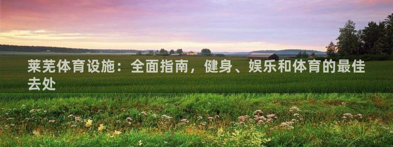 意昂3娱乐下载：莱芜体育设施：全面指南，健身、娱乐和