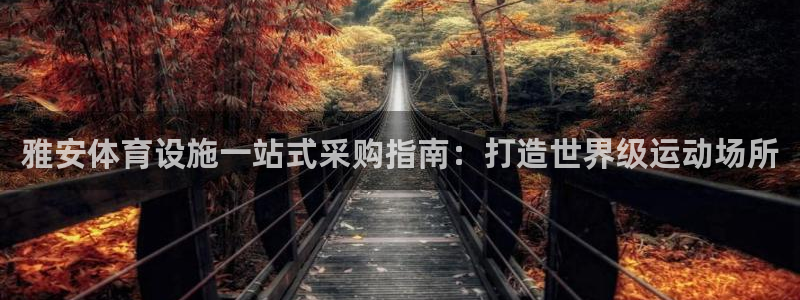 意昂体育3注册：雅安体育设施一站式采购指南：打造世界级运动场