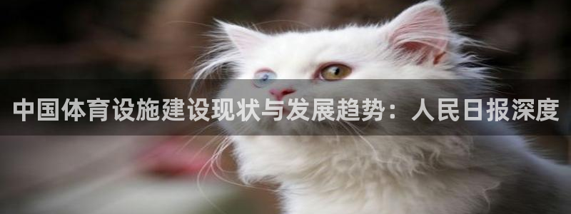 意昂体育3是干嘛的公司：中国体育设施建设现状与发展趋势：人民