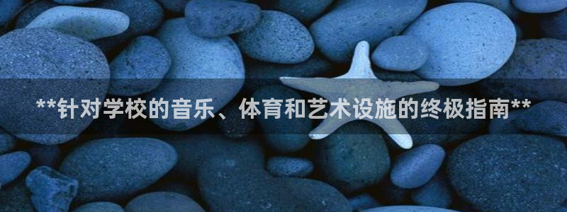 意昂体育3招商：**针对学校的音乐、体育和艺术设施的终极指南 