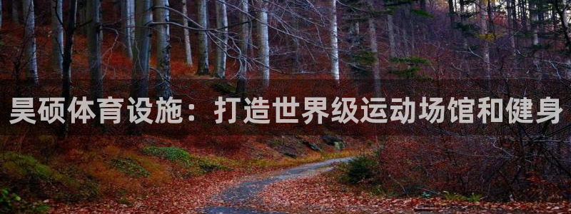 海南意昂体育3：昊硕体育设施：打造世界级运动场馆和健身