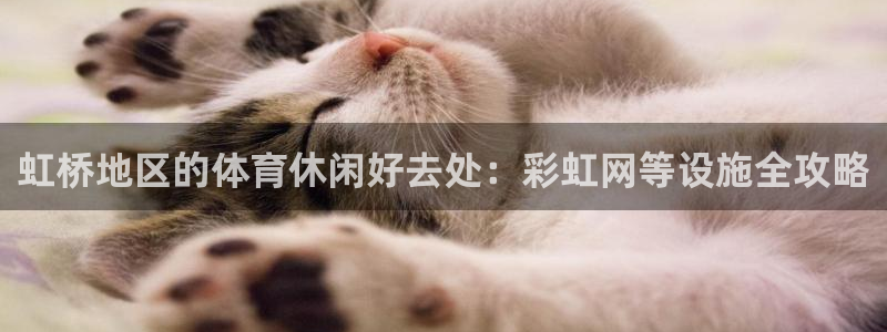 意昂体育3平台假的吗是真的吗：虹桥地区的体育休闲好去