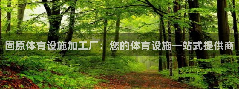 海南意昂体育3：固原体育设施加工厂：您的体育设施一站