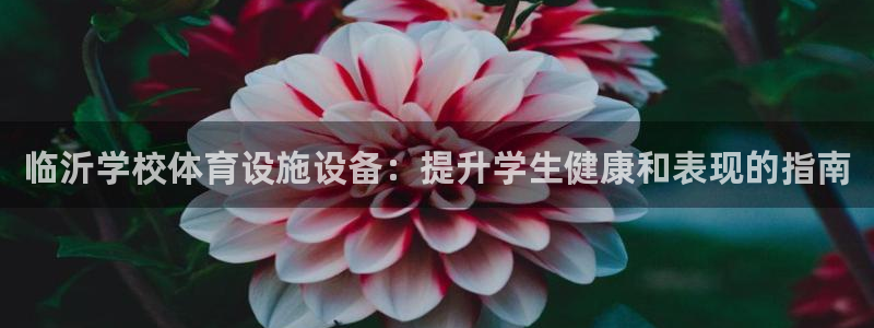 意昂3集团：临沂学校体育设施设备：提升学生健康和表现