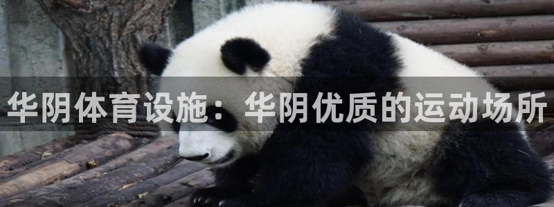 意昂3娱乐是那个系列的台子：华阴体育设施：华阴优质的