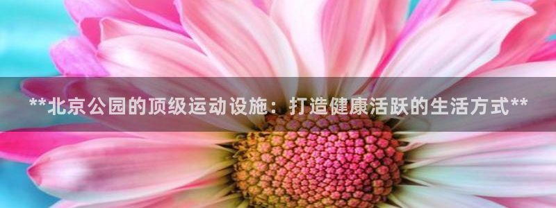 意昂3神州