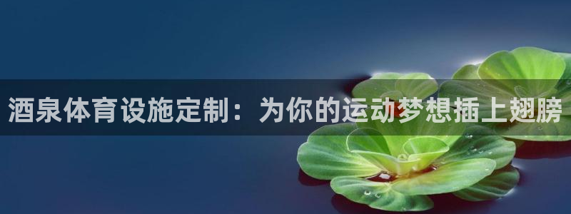 意昂体育3招商电话号码是多少啊：酒泉体育设施定制：为