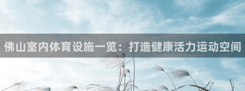 意昂体育3平台注册要钱吗安全吗：佛山室内体育设施一览