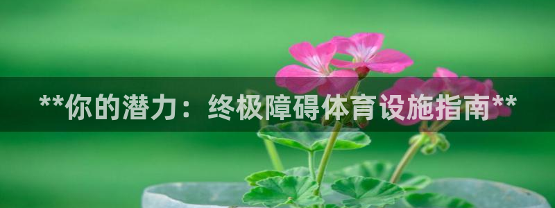 意昂体育3平台假的吗是真的吗：**你的潜力：终极障碍