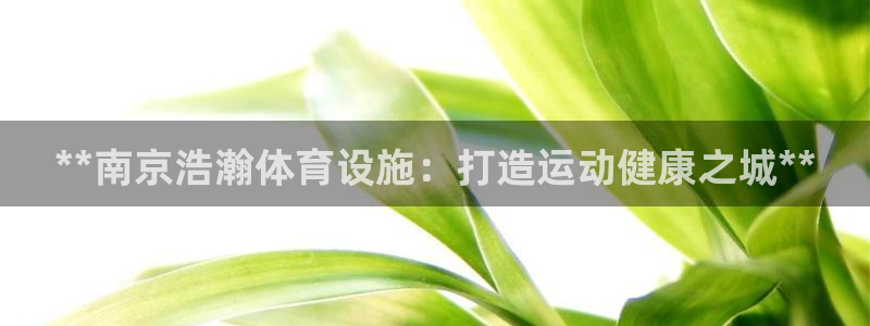 意昂体育3平台是正规平台吗：**南京浩瀚体育设施：打