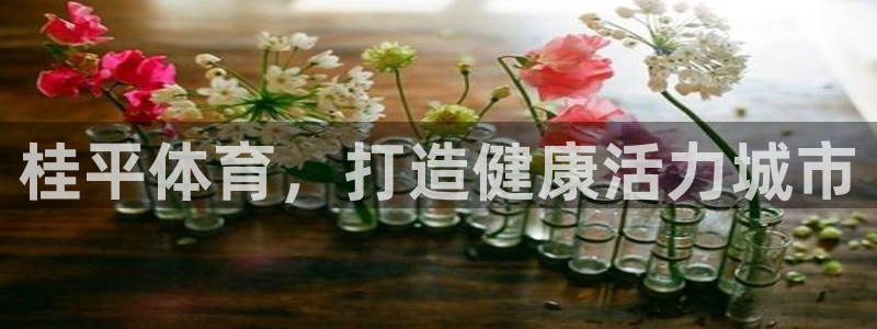 意昂体育3开户：桂平体育，打造健康活力城市