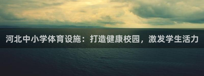 意昂3代理：河北中小学体育设施：打造健康校园，激发学