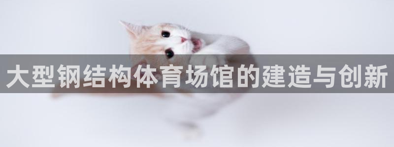 意昂3官方：大型钢结构体育场馆的建造与创新