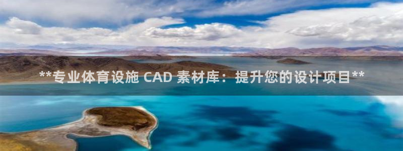 意昂体育3招商电话地址：**专业体育设施 CAD 素