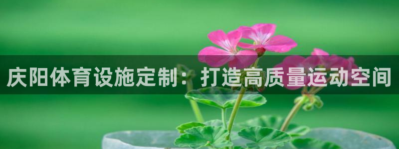 意昂体育3招商电话地址查询：庆阳体育设施定制：打造高