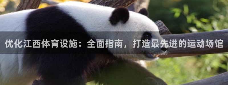 意昂体育3平台注册流程图：优化江西体育设施：全面指南