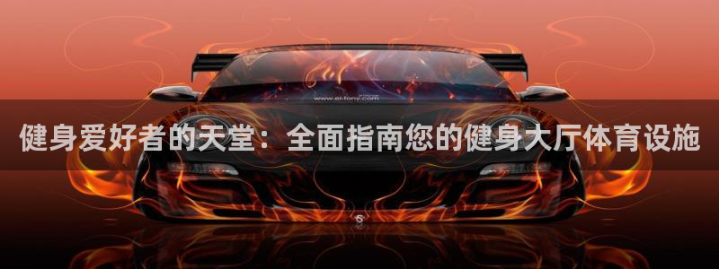 意昂体育3开户：健身爱好者的天堂：全面指南您的健身大