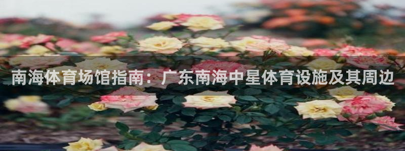 意昂集团官网：南海体育场馆指南：广东南海中星体育设施