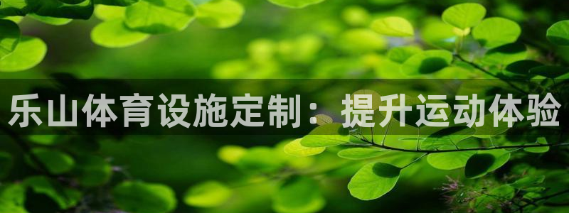 意昂体育3平台注册：乐山体育设施定制：提升运动体验