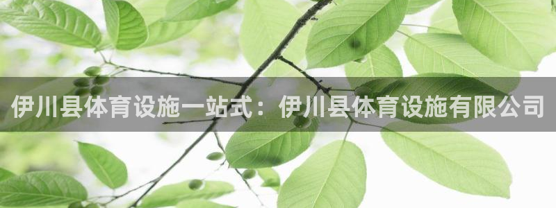 意昂体育3是干嘛的公司：伊川县体育设施一站式：伊川县体育设施