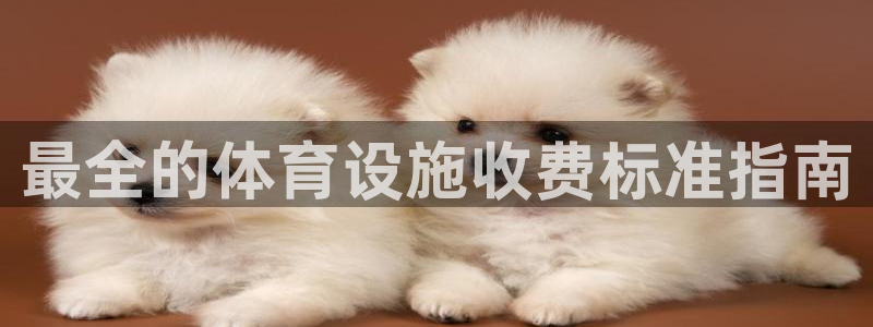 意昂3集团logo：最全的体育设施收费标准指南