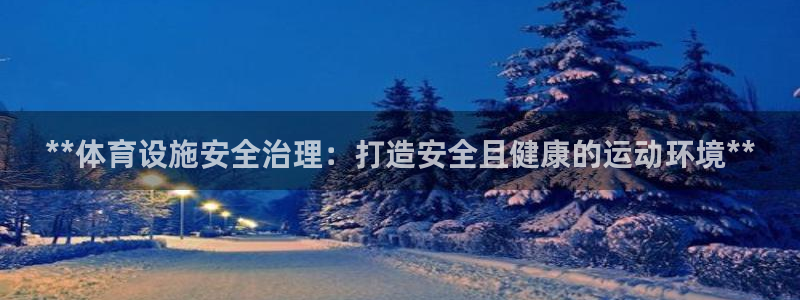 意昂3集团官网网址：**体育设施安全治理：打造安全且