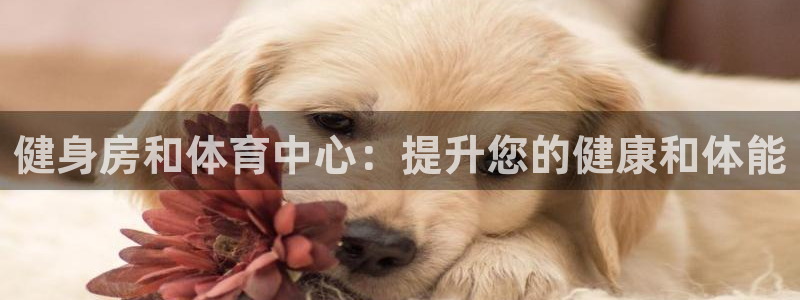 意昂体育3娱乐：健身房和体育中心：提升您的健康和体能